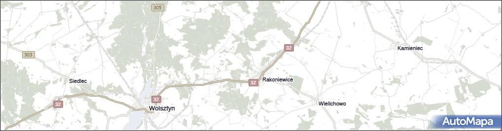 Rakoniewice Wieś